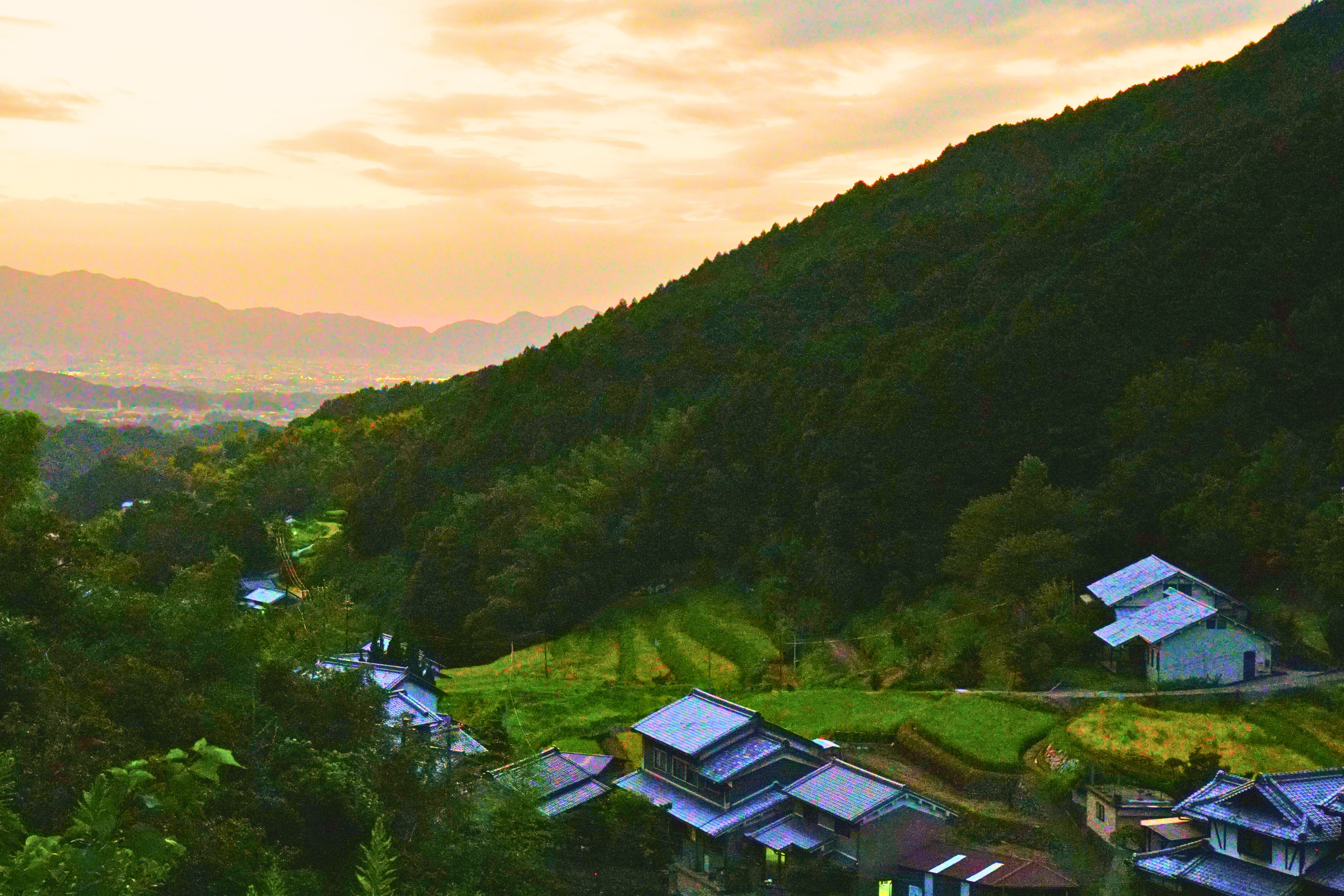 asuka, nara (3).webp